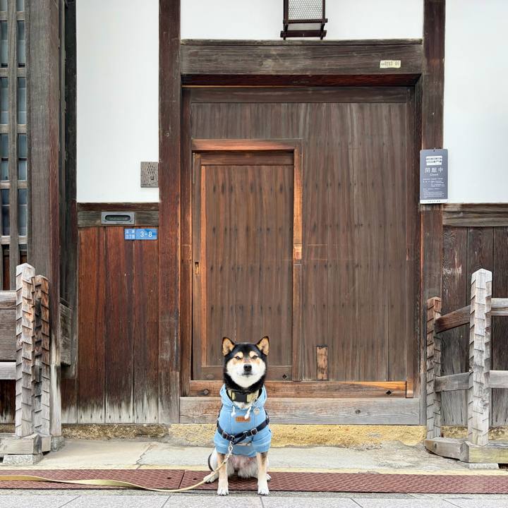 06f28ece 5416 41b6 bcbd 33308450e2f8 1767165901362