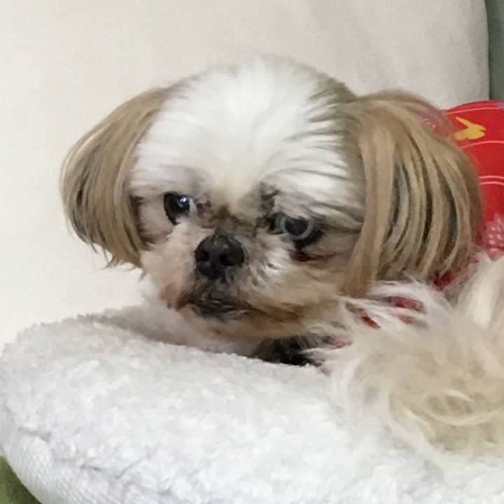 06f2e0f8 d687 40ab 9a78 0be93510d508 1647582305243