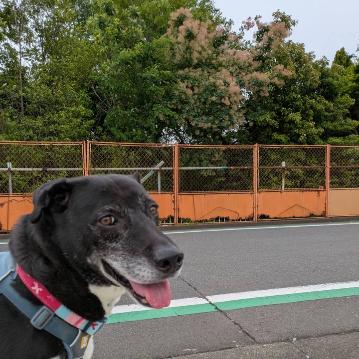 06f2ff57 5d1d 499e b041 bac4a2d71e0a 1748338318975