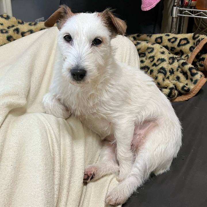 06f31c6c e2f6 460b 885b 4d0ff9e2db28 1674417892763