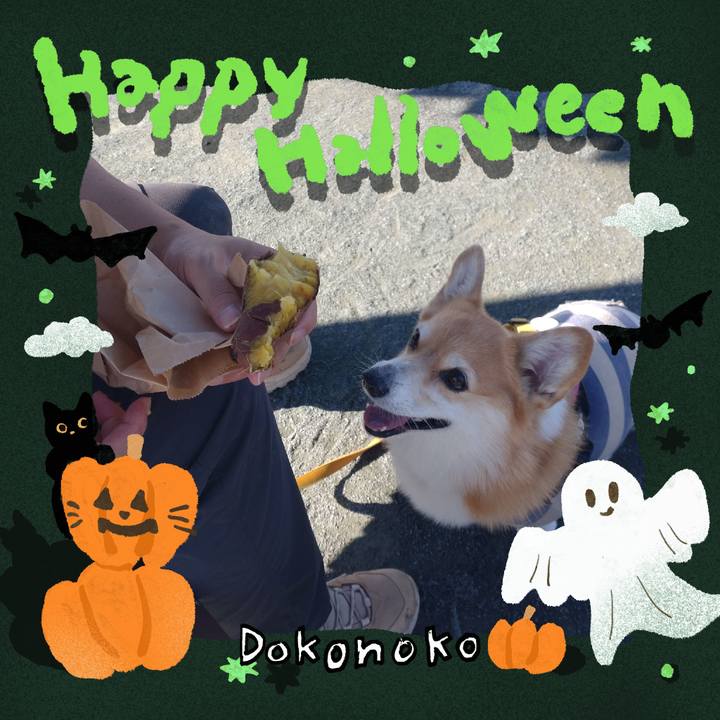 06f323cd a7c5 447e a269 6963eeb6b0be 1729173162884