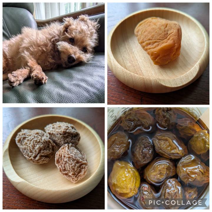 06f324ef 9e2d 4843 aa67 f494d71fe55b 1756687510363