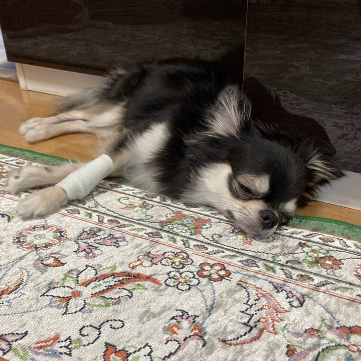 06f3584d fe50 466d bcf4 52ae398688f5 1659154160661