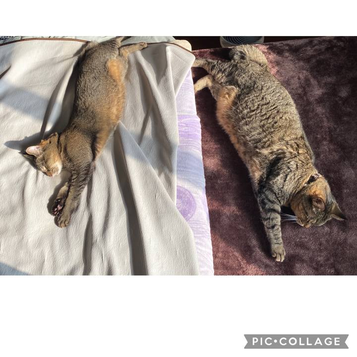 06f4302b 363a 418b 8822 b6030581591a 1612678653777