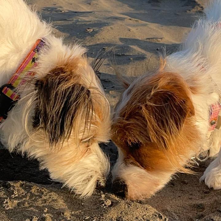 06f449ec eff5 43c4 b063 031fbf289d18 1761649622121