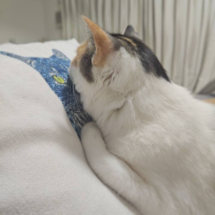 06f488dc 7df2 4258 9e89 1e045767da4e 1772587714225