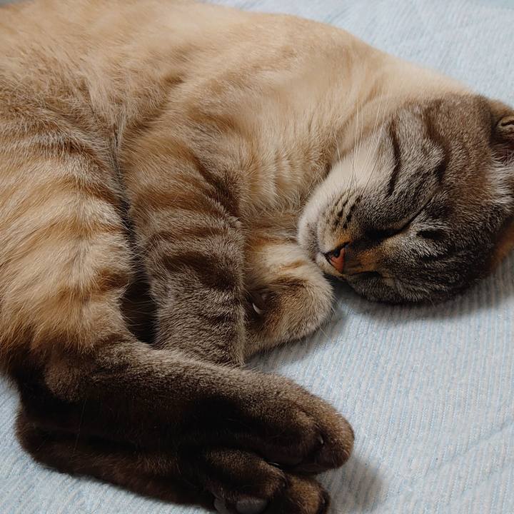 06f4c55d c5d8 461a 8d64 849cded7e6c9 1653662063132