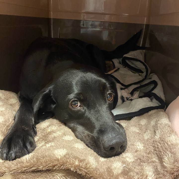 06f4cb2a 16e6 46f7 aa0f bc0b2cdd46b2 1774877293856