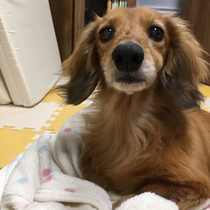 06f4d1c7 7bc8 4ba6 a820 197f77589953 1591624757520