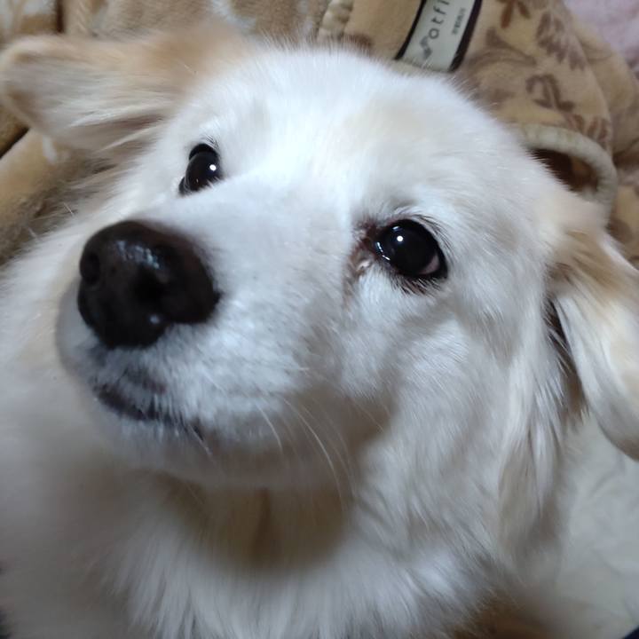 06f4ecf6 daee 4df3 b372 b3dc8bfe403d 1642567928327