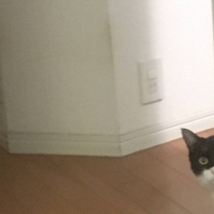 06f5015e e582 4f25 9b94 79b4b943865e 1581347130627