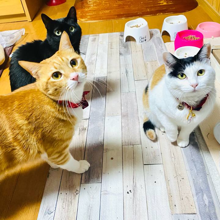 06f510f7 8c1a 4935 a98a c34f600e2d6c 1707301074227