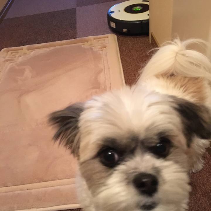 06f547e1 fdb5 4f65 8f01 5ab92c76c556 1512871267388