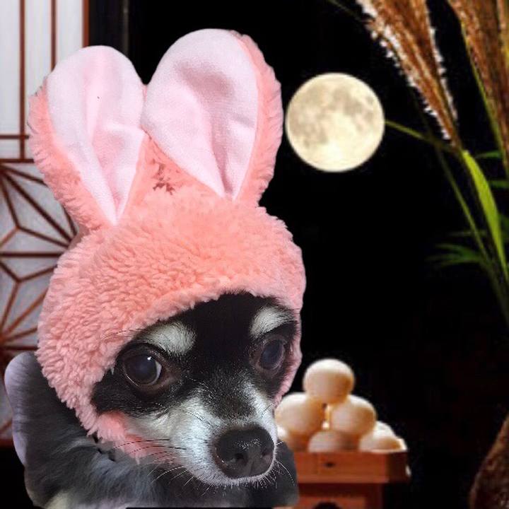 06f55a65 317a 478d 8aee 73909edb5876 1601540838566