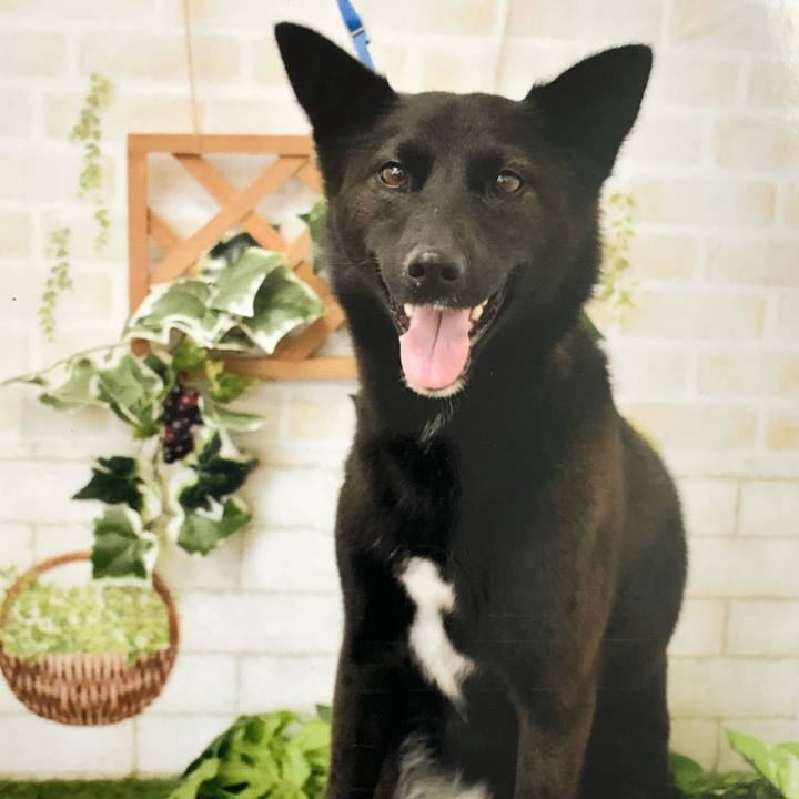 06f572a8 a41a 4ba2 a6cf 88c752d50d99 1541298107275