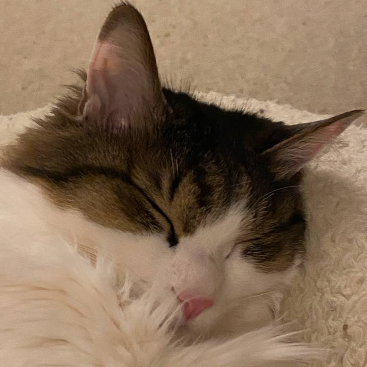 06f58783 77eb 43d5 a8cb bd5796e9f906 1673658095870