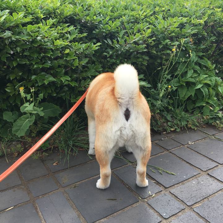 06f58d71 0b22 402a b66b 0a5b715fde8e 1559259589759