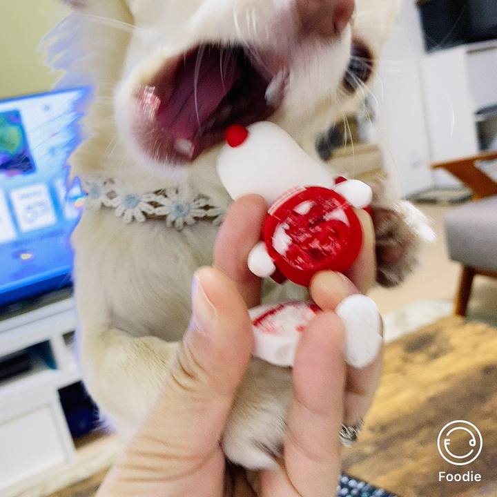 06f59f86 c142 4c72 9637 318d7a1c0e35 1607085544998