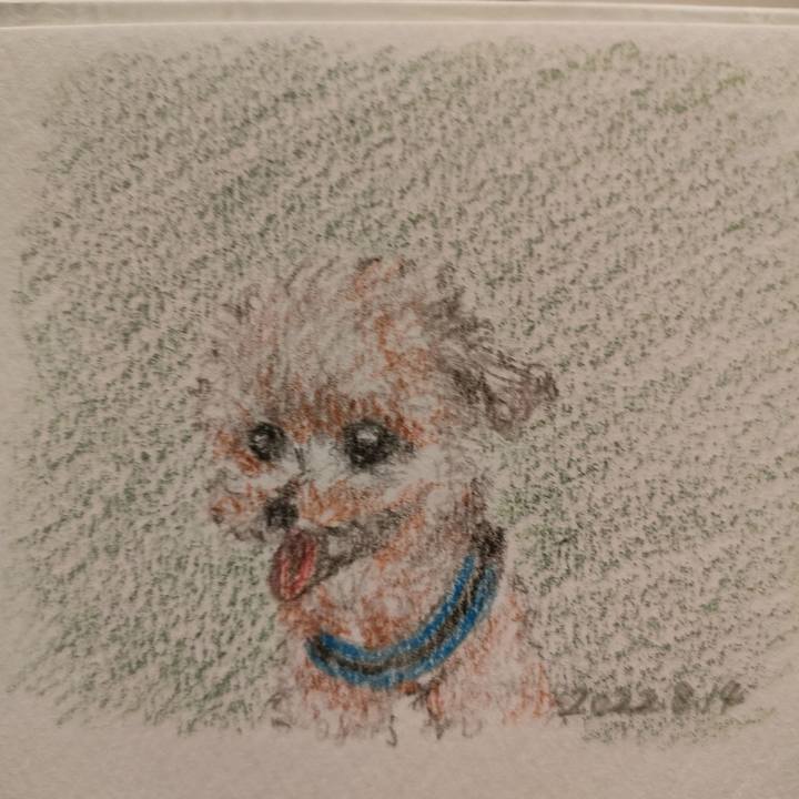 06f5a1a1 e5a1 4d90 84b9 21cf6b48aa9c 1660518303908