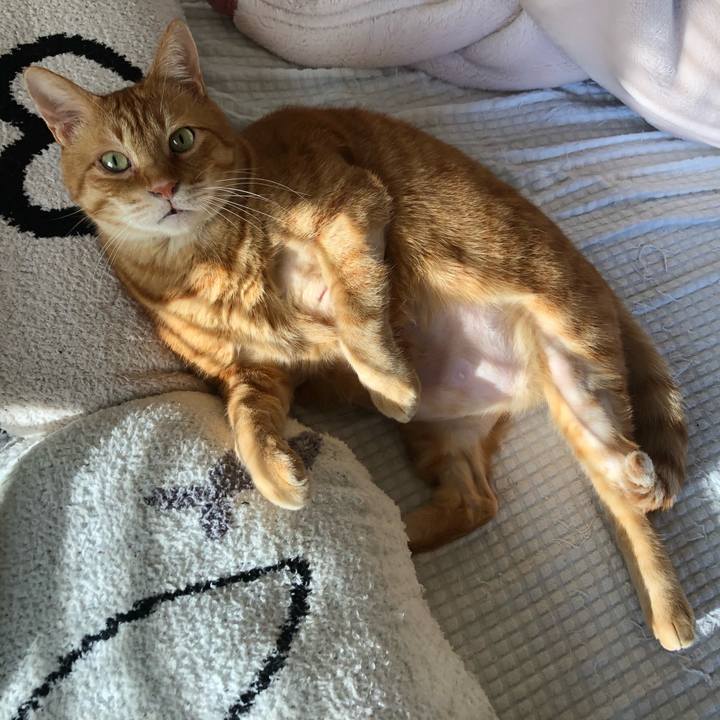 06f5a5fa 0e6c 4b6c 8261 bbd724c93268 1652044858714