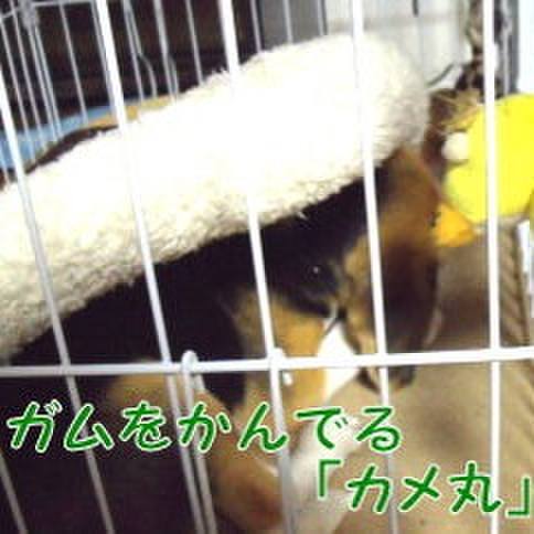 06f5b537 29e8 4935 b2e0 7d82df79da2d 1678581845036