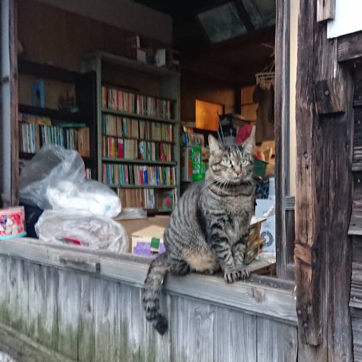 06f5bae5 7a58 43b8 a096 38b10e653adb 1661592305261