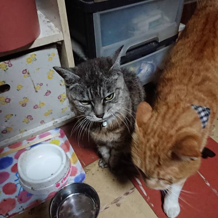 06f5bc05 d354 4c5b 8683 308fd021560a 1569959340505