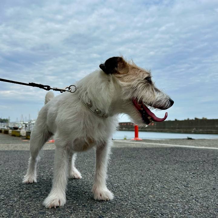 06f652c4 b632 41f4 9a3c e6b3c9fbd1c3 1749304745904