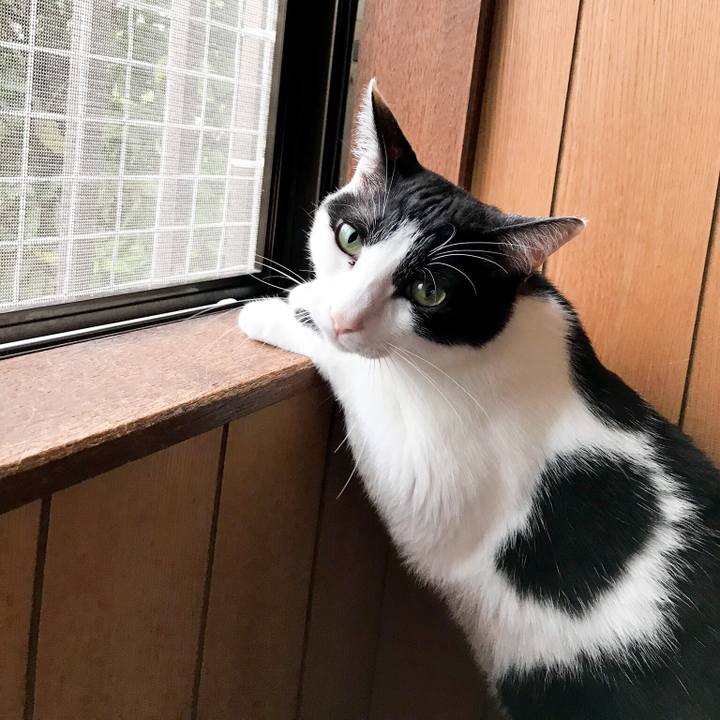 06f67a61 0ee1 4104 b259 61d1d0d698fc 1531407353930