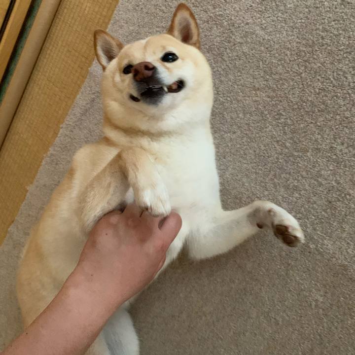 06f687c3 eb0e 4317 bd09 7212d4db4eb3 1626398667297