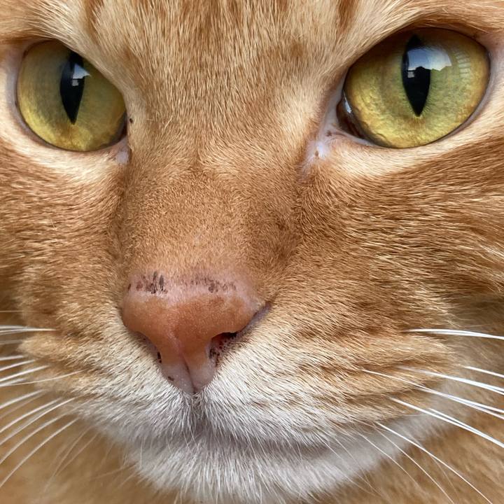 06f68964 dc61 4866 841f e27909feb914 1768623149401