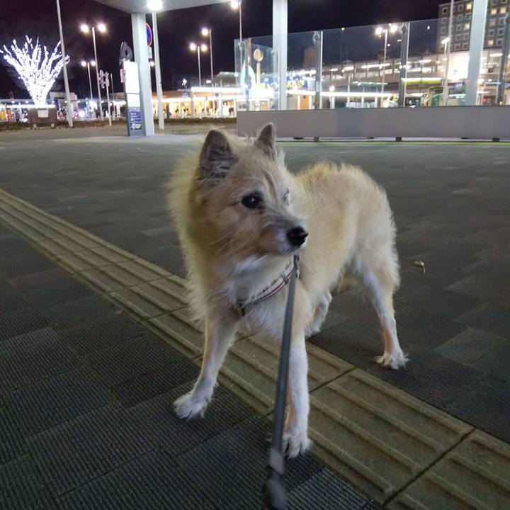 06f69712 4917 4d57 bf2c cfda657c22c3 1576318872875