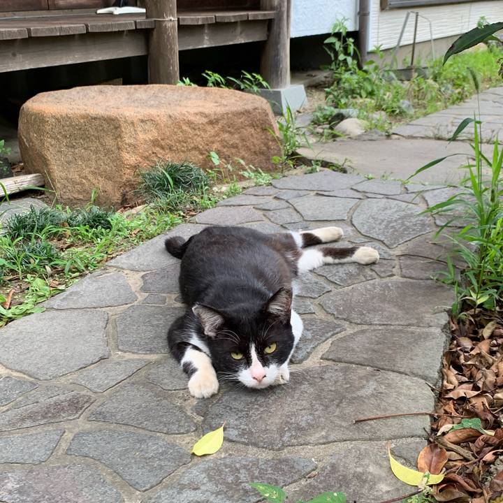 06f6b995 2b6f 4022 a470 f6edbe07c8e8 1626682735971