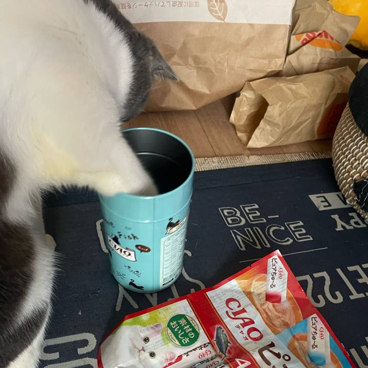 06f6bee0 664c 4843 b2cb 6e7b28de5350 1718521115893