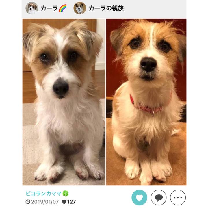 06f75e98 d5a3 41e1 8209 bb05233f64cd 1767782875891