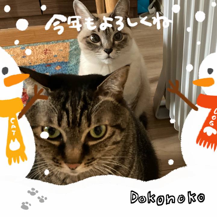 06f770b2 6298 42d1 aef7 2a8807838332 1704242542564