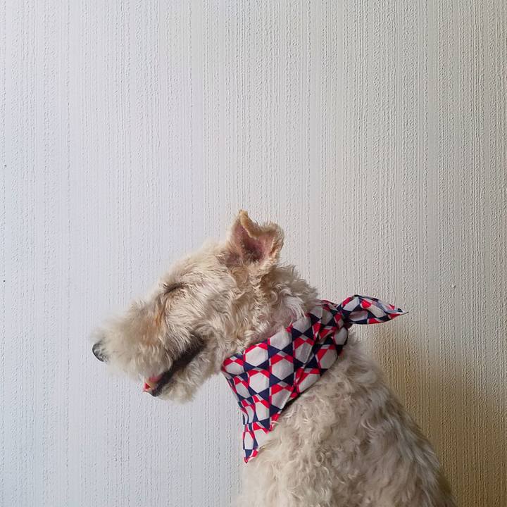 06f7ad1d fbf8 4b38 aed8 6246c86a133b 1569674341467