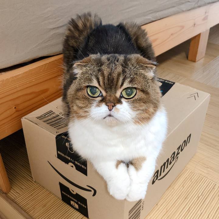 06f7ad71 be25 47c2 8a90 a1f1d1b67fb4 1596082182129