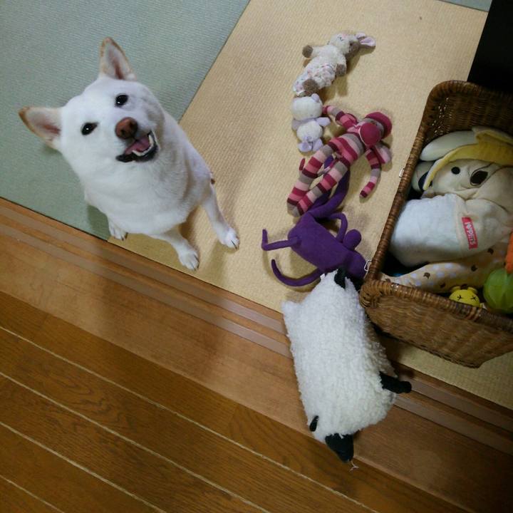 06f7afe1 1457 463e a0be 05aa9377f070 1562679386934