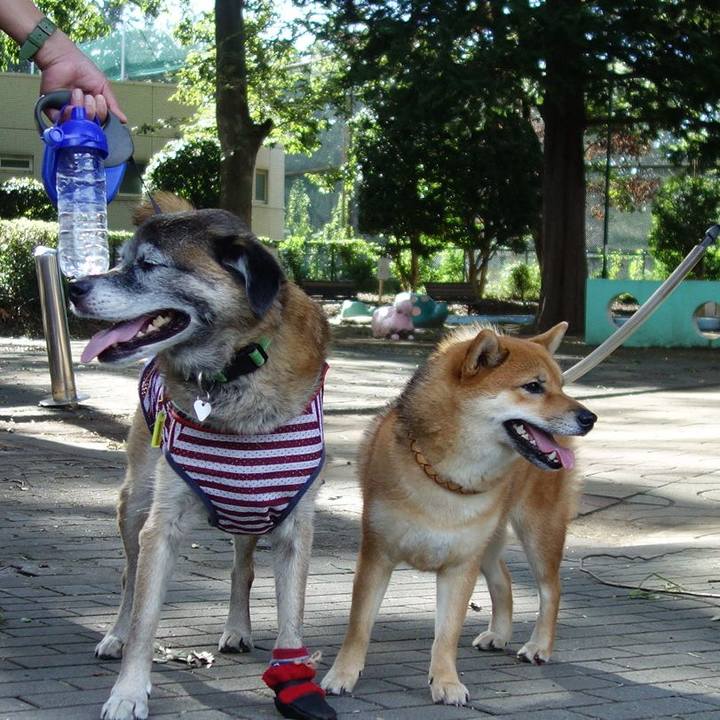 06f7b3d5 e13a 40bc 9d8c 4b17aa9277dd 1535160309117