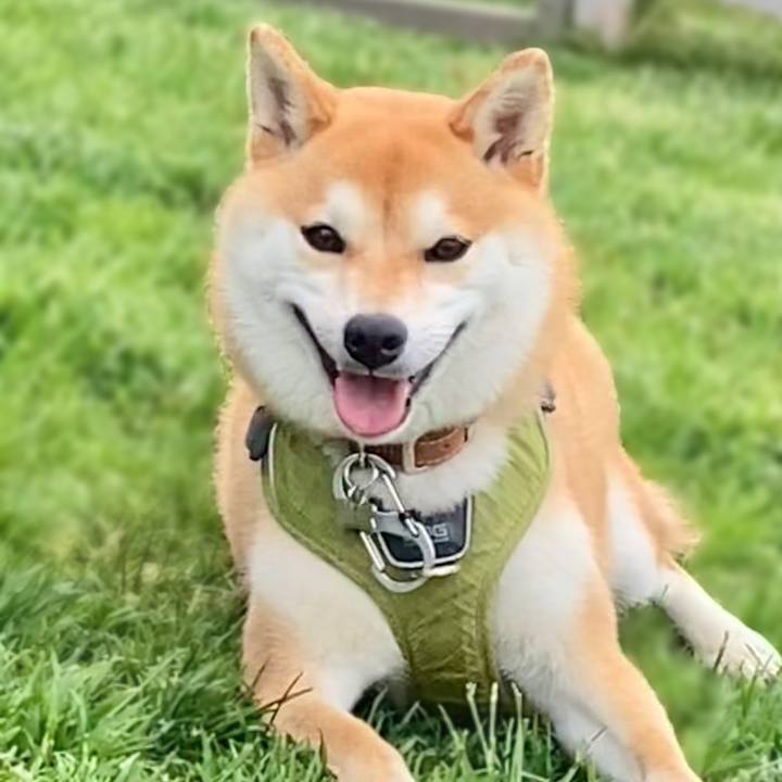 06f7c2b3 98b8 48cd a661 5213a8cc106f 1684117526156