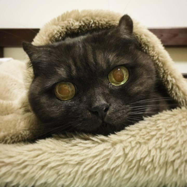 06f7dabf e20f 44c1 baf8 088c20dd43d3 1572357076542