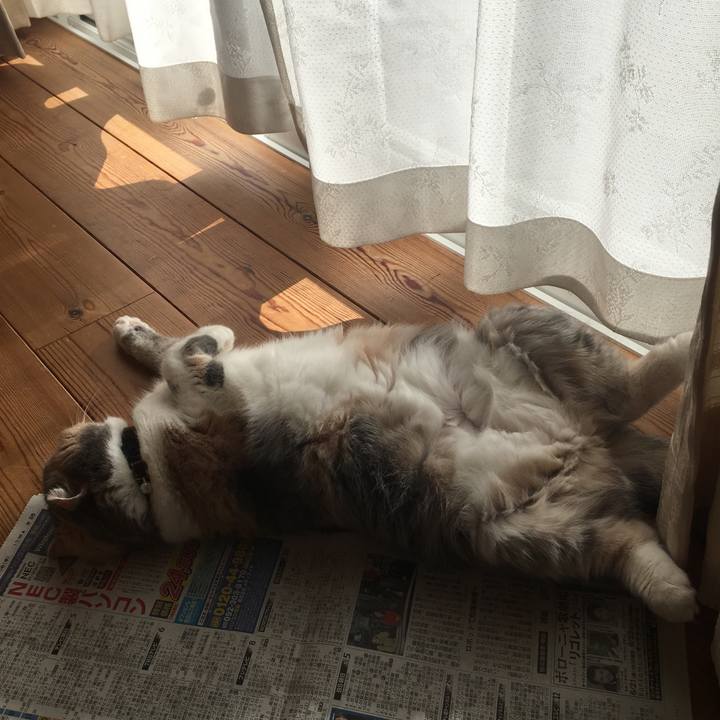 06f7e2ec 349b 49d3 8220 0967e9fbc7f3 1548843520335