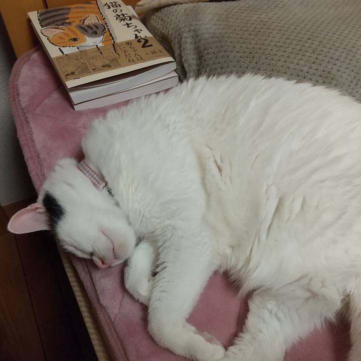 06f7ed48 0c64 4122 9a99 fe04041a9705 1643638858861