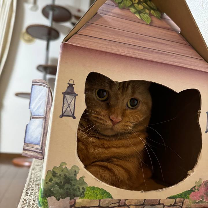 06f7f741 af65 40f5 9fc2 25edb8213ed2 1729075221922