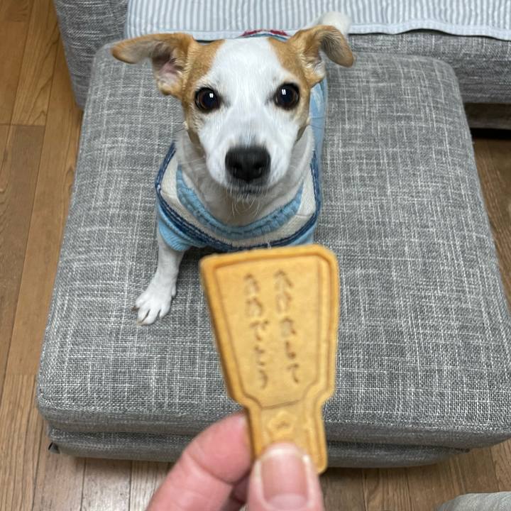 06f859f8 b43a 46e1 b9fc 3e674dbe4964 1641467366555