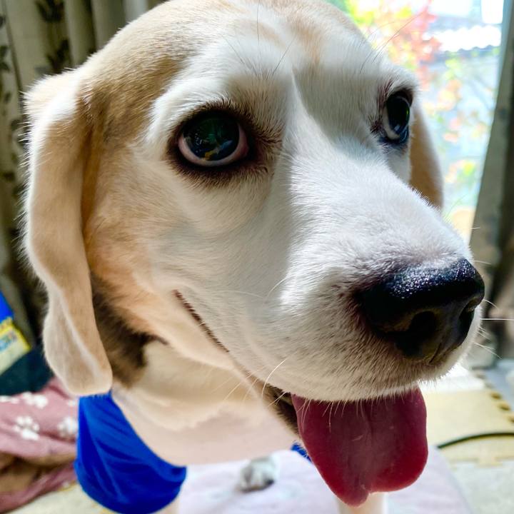 06f860a5 1048 416e ac51 9e83eea3005a 1620531422972