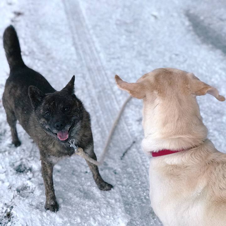 06f86366 a7a8 4138 9146 0cdb684db1b5 1546049564339