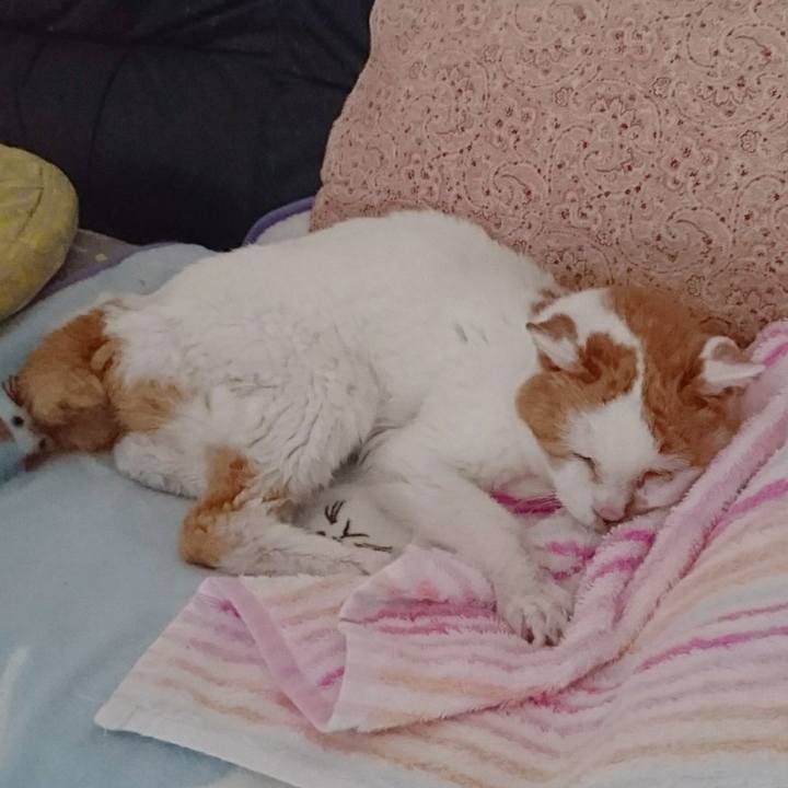 06f881a7 f56b 4c3d b1e5 fdba2c3eafee 1600491867169