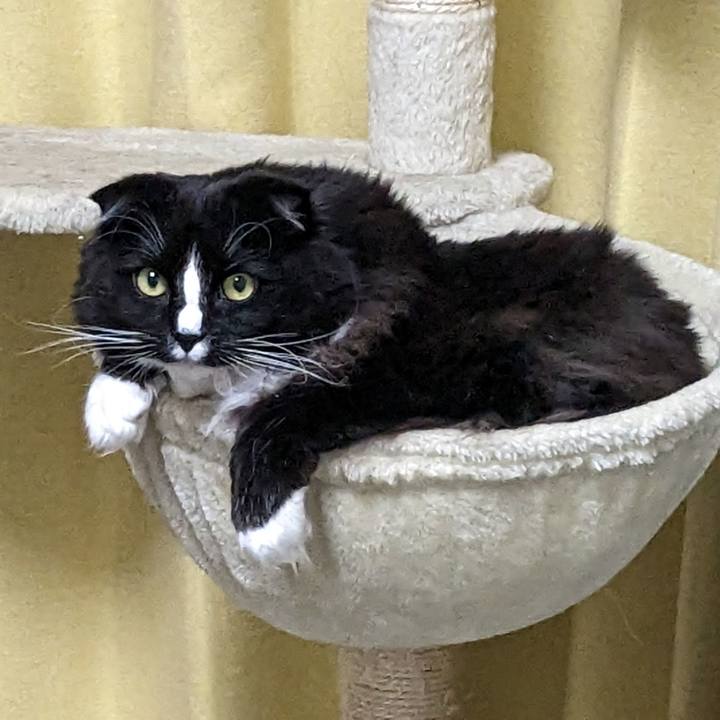 06f88279 52c3 434b bcb8 9e5262c0531e 1677154779668